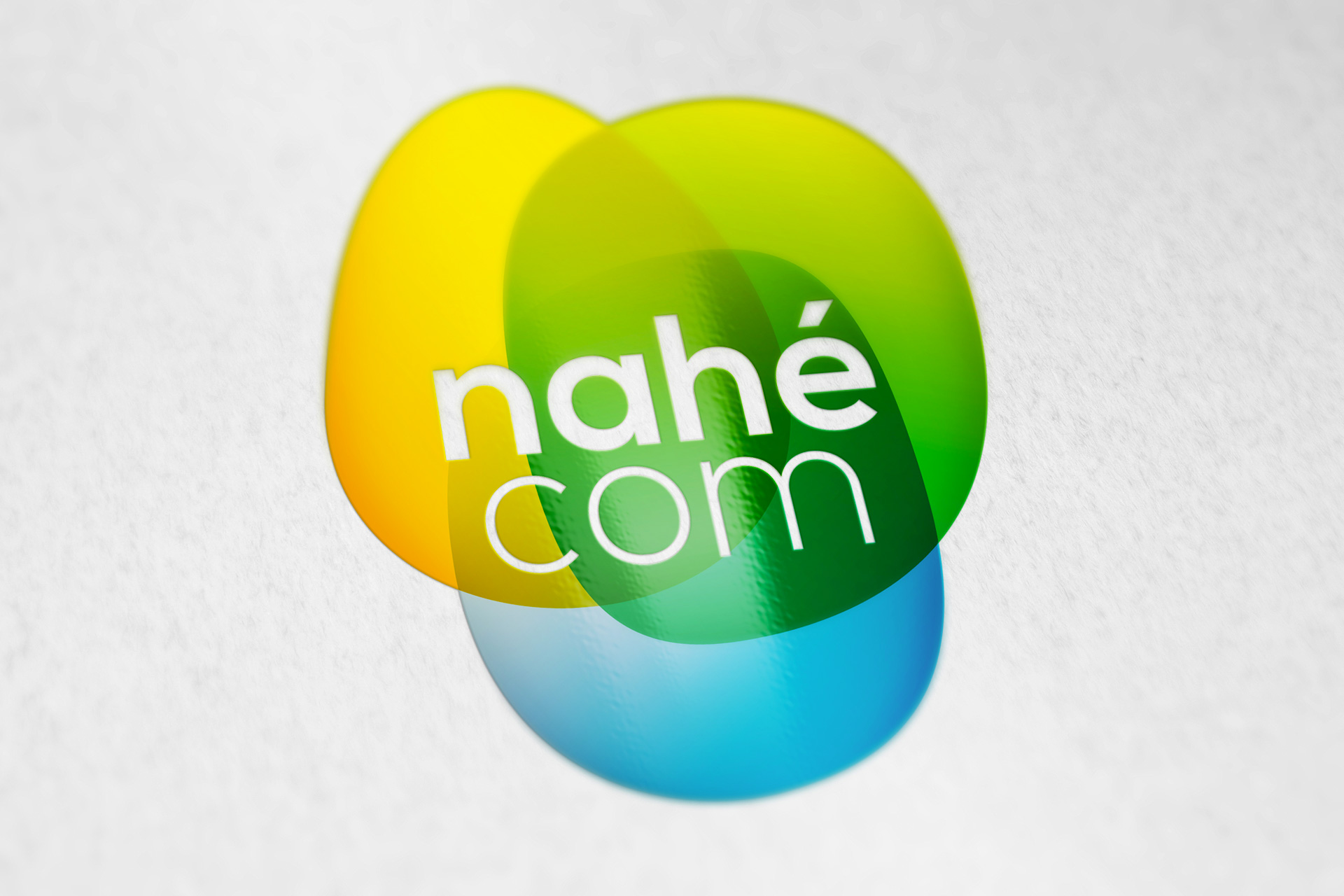 Simulation du logotype de l'agence Nahécom