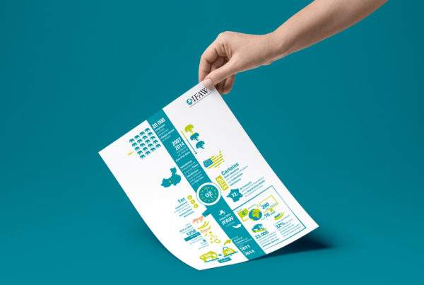 Infographie IFAW trafic d'ivoire