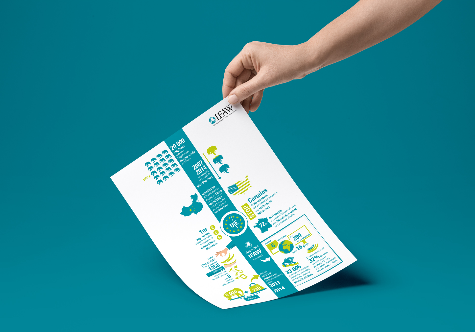 Infographie IFAW trafic d'ivoire