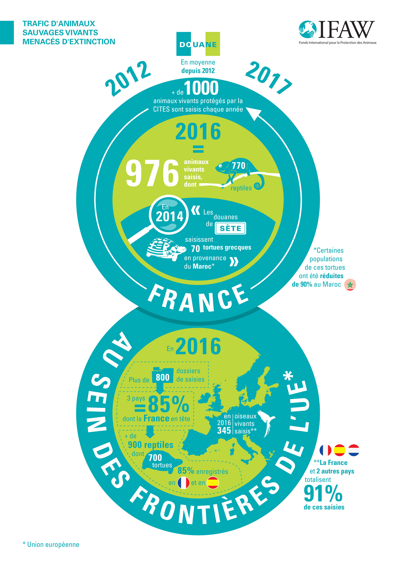 infographie ifaw sur le trafic d'animaux sauvages vivants