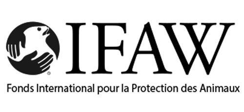 Logo IFAW