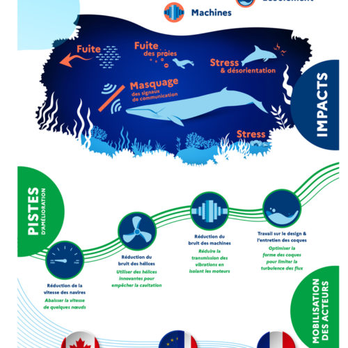 Infographies pollution sonore sous-marine