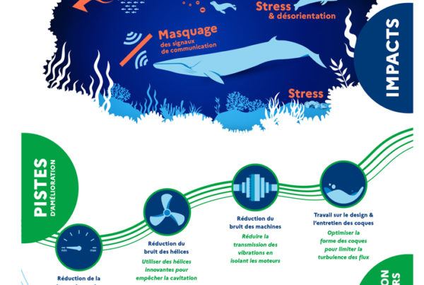 Infographie sur le transport maritime le bruit sous-marin