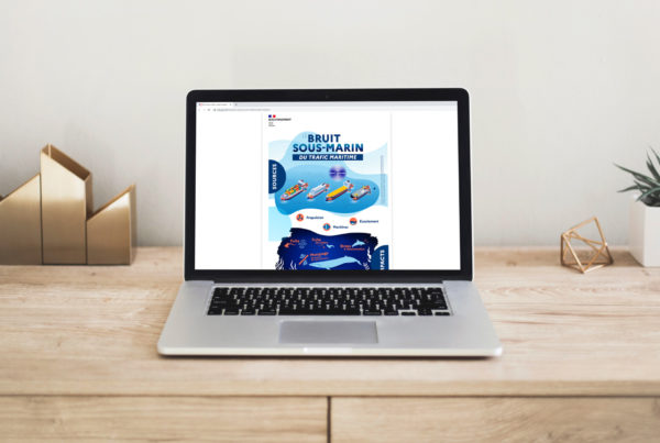 infographies sur la pollution sonore sous-marine